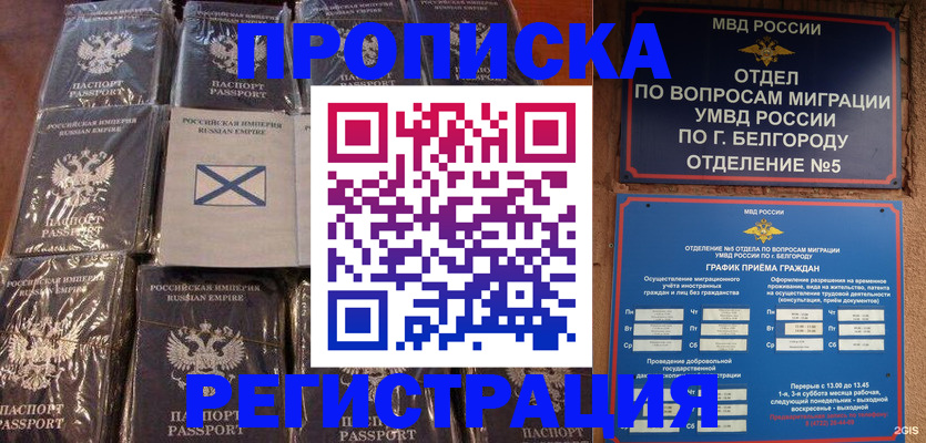 прописка гарантия в Каргате